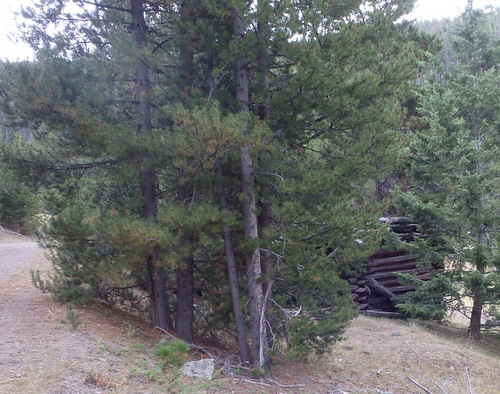 GDMBR: Miners Cabin.